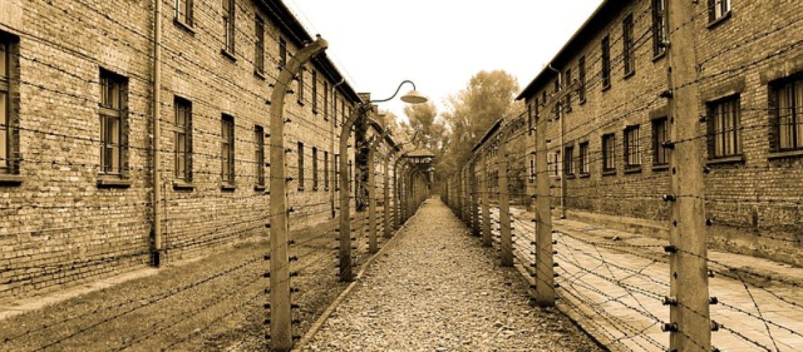 auschwitz-385639